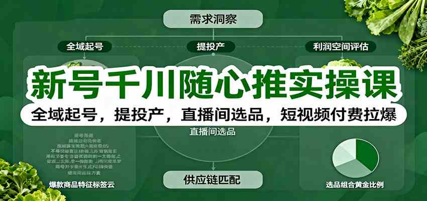 新号千川随心推实操课:全域起号,提投产,直播间选品,短视频付费拉爆-甄选网创