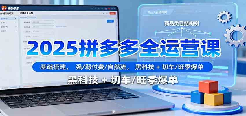 2025拼多多全运营课:基础搭建,强/弱付费/自然流,黑科技 + 切车/旺季爆单-甄选网创