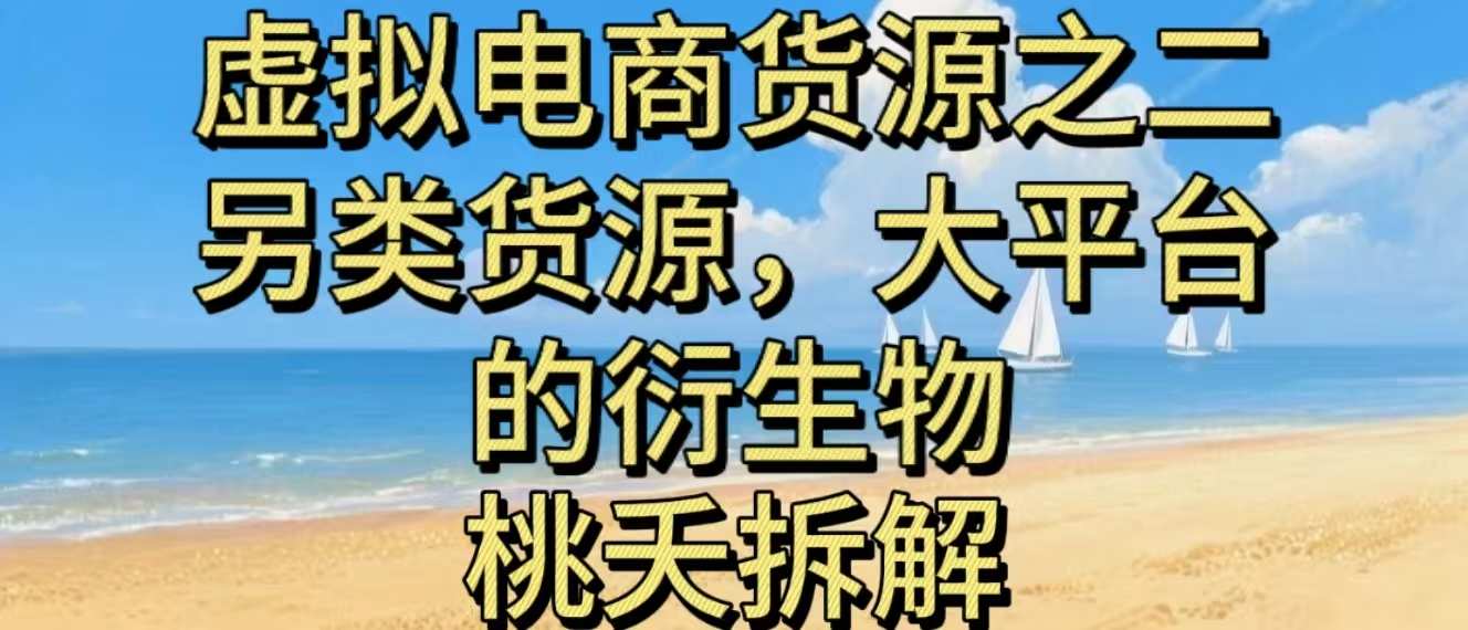虚拟电商之二—另类的货源,大平台的衍生物-甄选网创