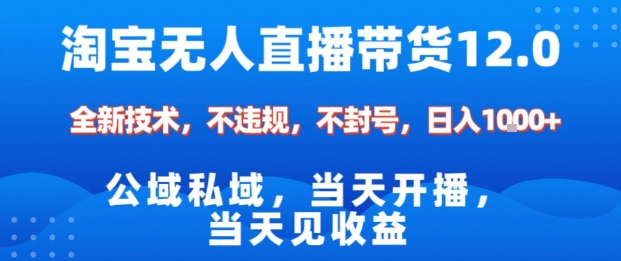 淘宝无人直播12.0,公域私域技术,不封号,不违规布局双十一流量风口,日入1k(独家技术)【揭秘】-甄选网创