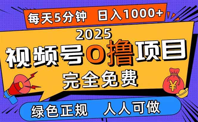 (16388期)2025视频号0撸项目,5分钟一个号,日入1000+,人人可做-甄选网创