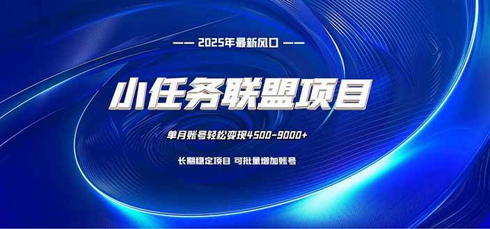 (16521期)小任务联盟项目:一台电脑每天只需10分钟,轻松简单稳定-甄选网创