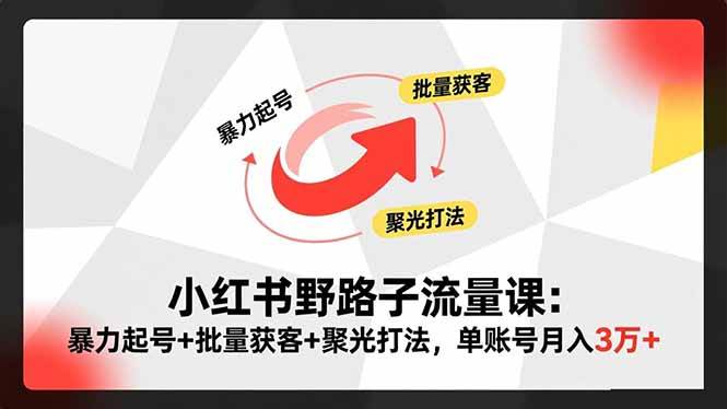(16513期)小红书野路子流量课:暴力起号+批量获客+聚光打法,单账号月入3万+-甄选网创
