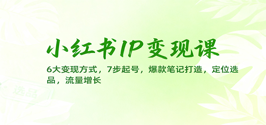 小红书IP变现课:6大变现方式,7步起号,爆款笔记打造,定位选品,流量增长-甄选网创