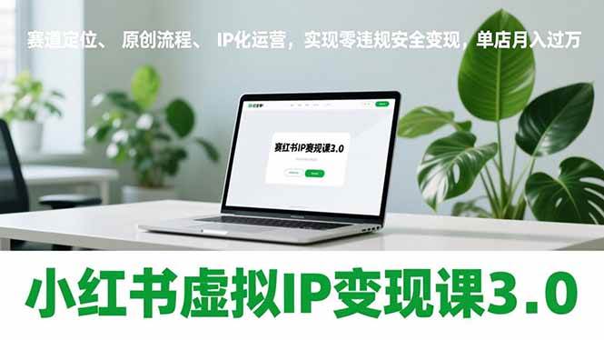(17029期)小红书虚拟IP变现课3.0,赛道定位、原创流程、IP化运营,实现零违规安全变现,单店月入过万-甄选网创