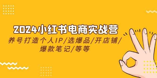 2024小红书电商实战营，养号打造IP/选爆品/开店铺/爆款笔记/等等（24节）-甄选网创