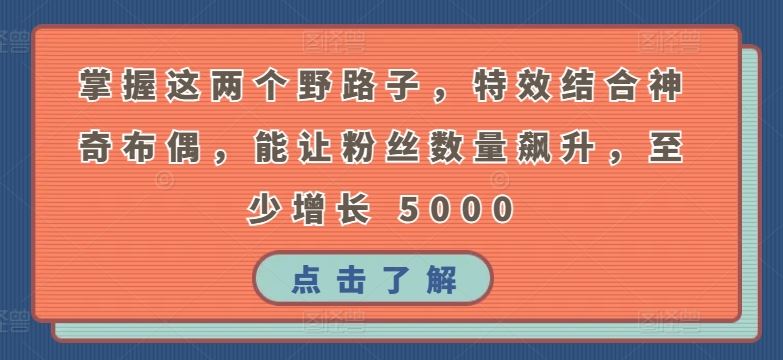 掌握这两个野路子，特效结合神奇布偶，能让粉丝数量飙升，至少增长 5000【揭秘】-甄选网创