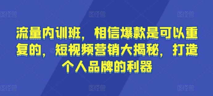 流量内训班，相信爆款是可以重复的，短视频营销大揭秘，打造个人品牌的利器-甄选网创