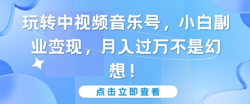 玩转中视频音乐号，小白副业变现，月入过万不是幻想【揭秘】-甄选网创