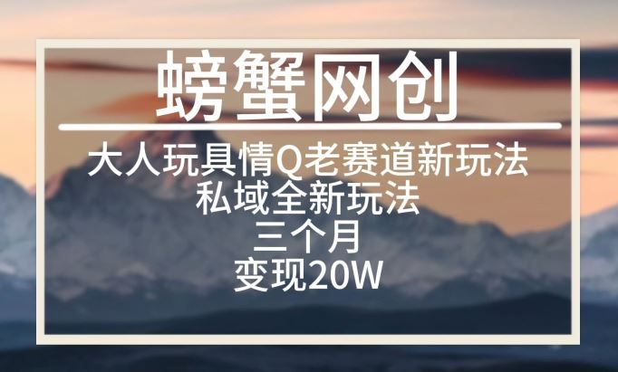 大人玩具情Q用品赛道私域全新玩法，三个月变现20W，老项目新思路【揭秘】-甄选网创