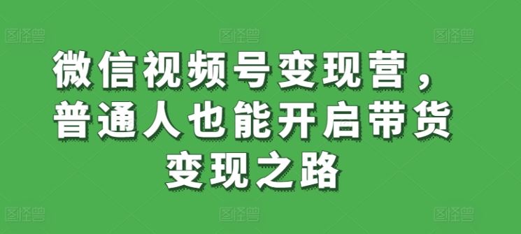 微信视频号变现营，普通人也能开启带货变现之路-甄选网创