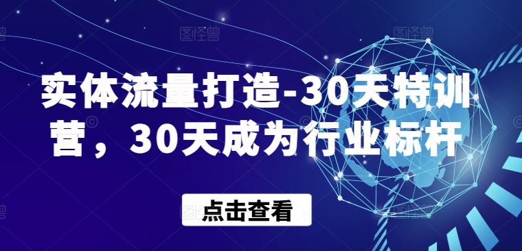 实体流量打造-30天特训营，30天成为行业标杆-甄选网创