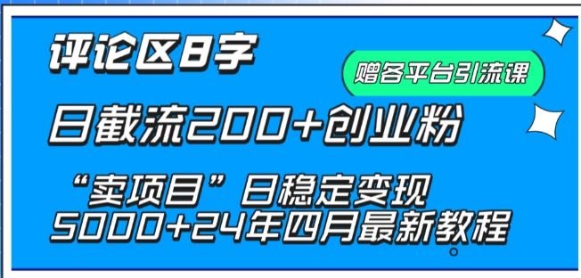 抖音评论区8字日截流200+创业粉 “卖项目”日稳定变现5000+【揭秘】-甄选网创