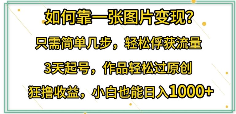 如何靠一张图片变现?只需简单几步，轻松俘获流量，3天起号，作品轻松过原创【揭秘】-甄选网创