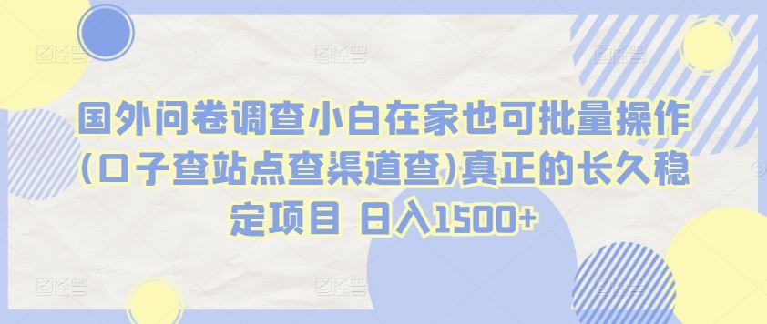 国外问卷调查小白在家也可批量操作(口子查站点查渠道查)真正的长久稳定项目 日入1500+【揭秘】-甄选网创