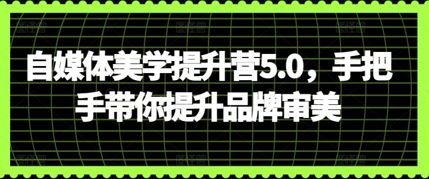 自媒体美学提升营5.0，手把手带你提升品牌审美-甄选网创