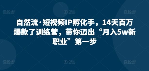 自然流·短视频IP孵化手，14天百万爆款了训练营，带你迈出“月入5w新职业”第一步-甄选网创