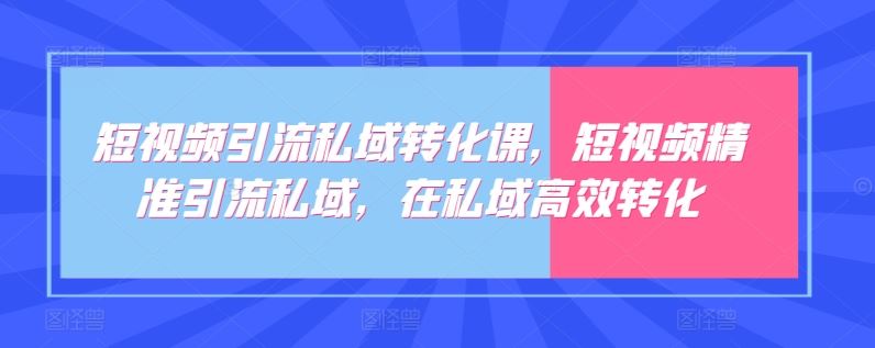 短视频引流私域转化课，短视频精准引流私域，在私域高效转化-甄选网创