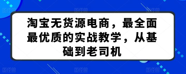 淘宝无货源电商，最全面最优质的实战教学，从基础到老司机-甄选网创