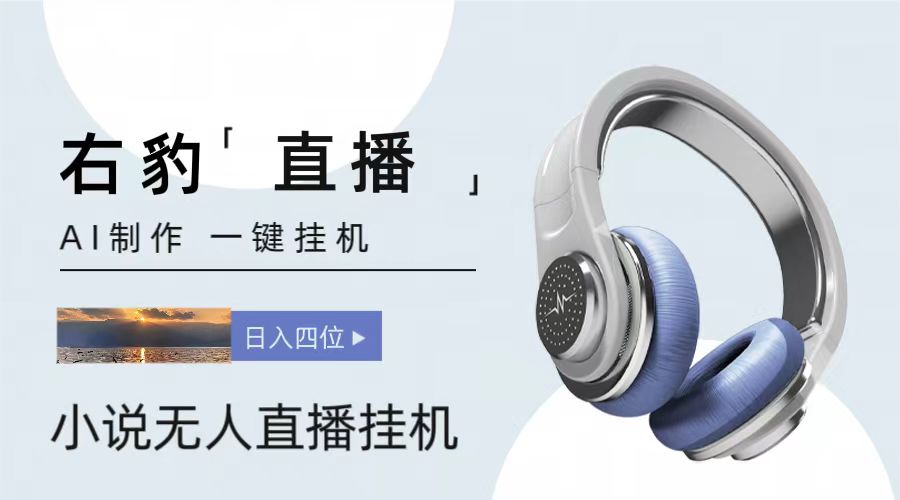 右豹小说无人直播挂机吸金项目，简单易行收益稳定， 月入1000+-甄选网创