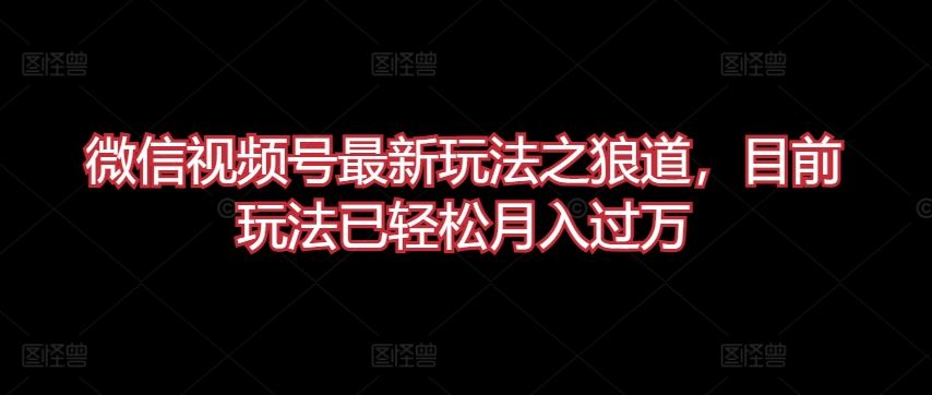 微信视频号最新玩法之狼道，目前玩法已轻松月入过万【揭秘】-甄选网创