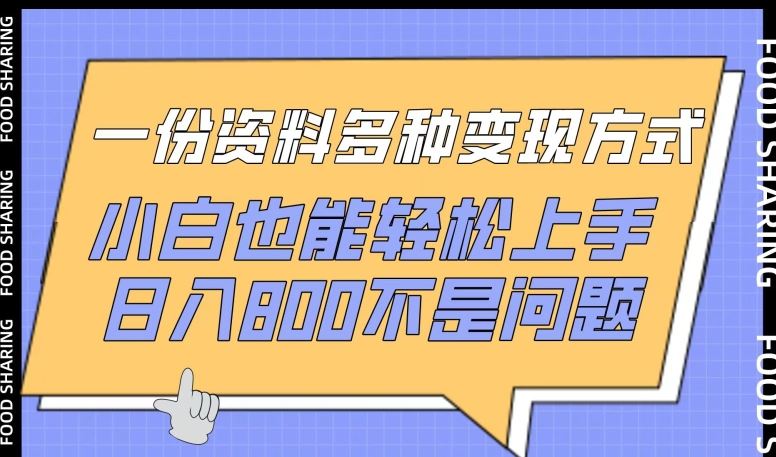 一份资料多种变现方式，小白也能轻松上手，日入800不是问题【揭秘】-甄选网创