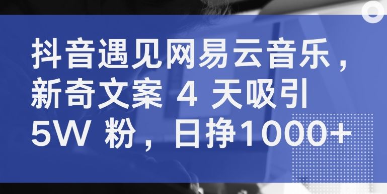 抖音遇见网易云音乐，新奇文案 4 天吸引 5W 粉，日挣1000+【揭秘】-甄选网创