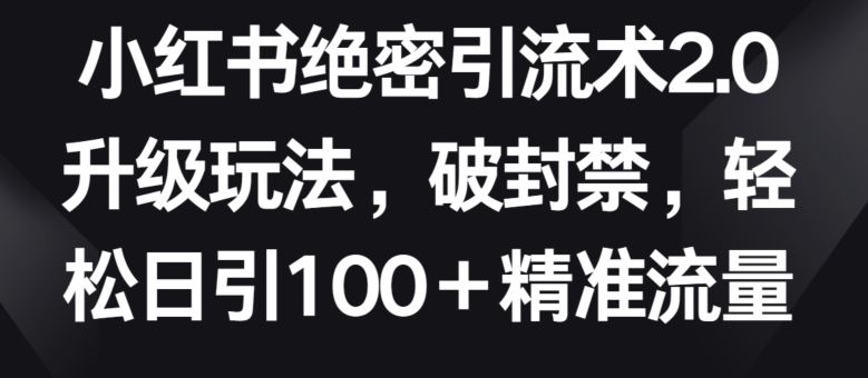 小红书绝密引流术2.0升级玩法，破封禁，轻松日引100+精准流量【揭秘】-甄选网创