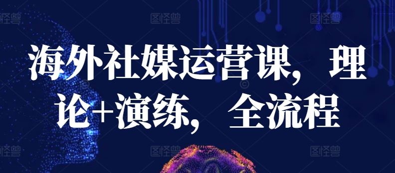 海外社媒运营课，理论+演练，全流程-甄选网创