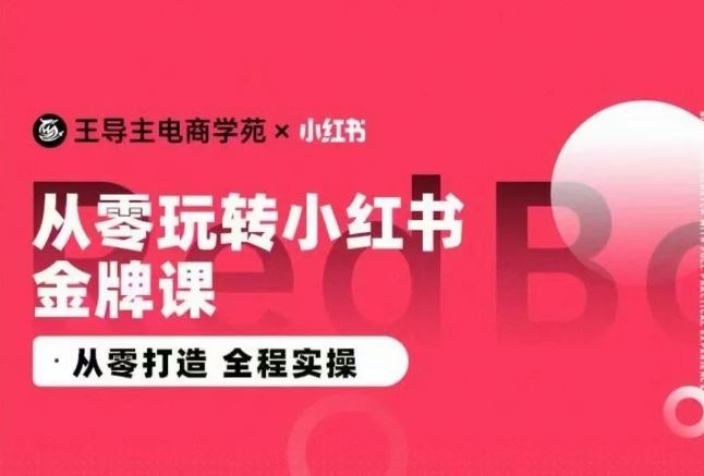 王导主·小红书电商运营实操课，​从零打造  全程实操-甄选网创