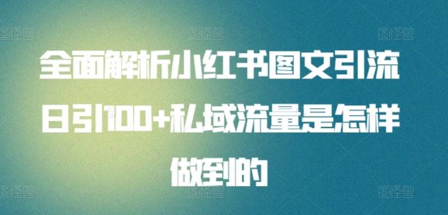 全面解析小红书图文引流日引100+私域流量是怎样做到的【揭秘】-甄选网创