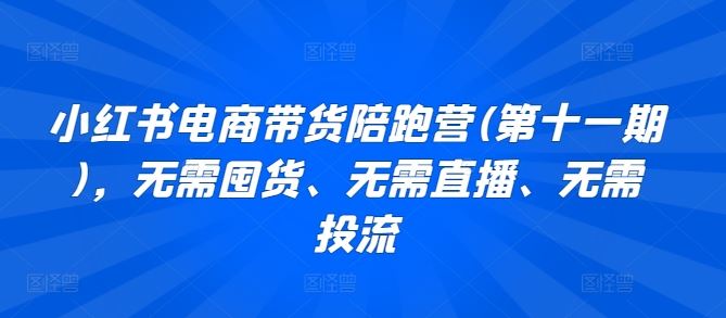 小红书电商带货陪跑营(第十一期)，无需囤货、无需直播、无需投流-甄选网创