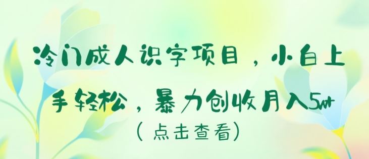 冷门成人识字项目，小白上手轻松，暴力创收月入5w+【揭秘】-甄选网创