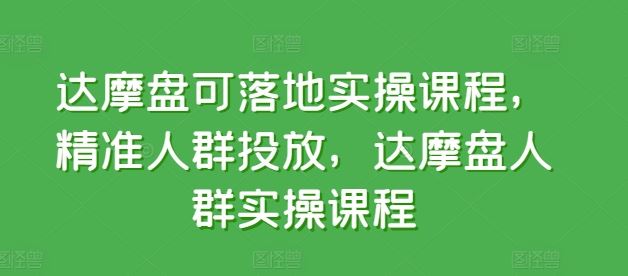 达摩盘可落地实操课程，精准人群投放，达摩盘人群实操课程-甄选网创