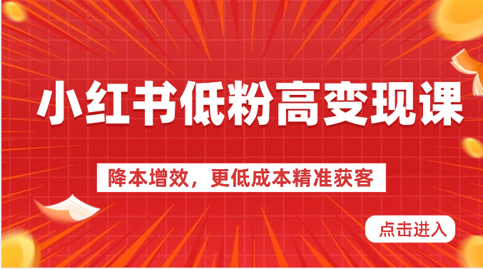 小红书低粉高变现课-降本增效，更低成本精准获客，小红书必爆的流量密码-甄选网创