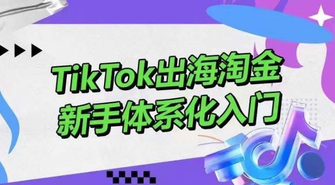 TikTok出海淘金，新手体系化入门，零基础快速入门，掌握短视频、直播带货等引流到变现的知识-甄选网创