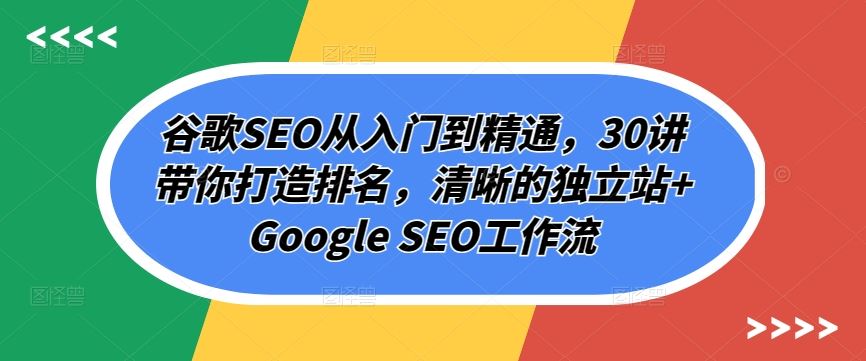 谷歌SEO从入门到精通，30讲带你打造排名，清晰的独立站+Google SEO工作流-甄选网创