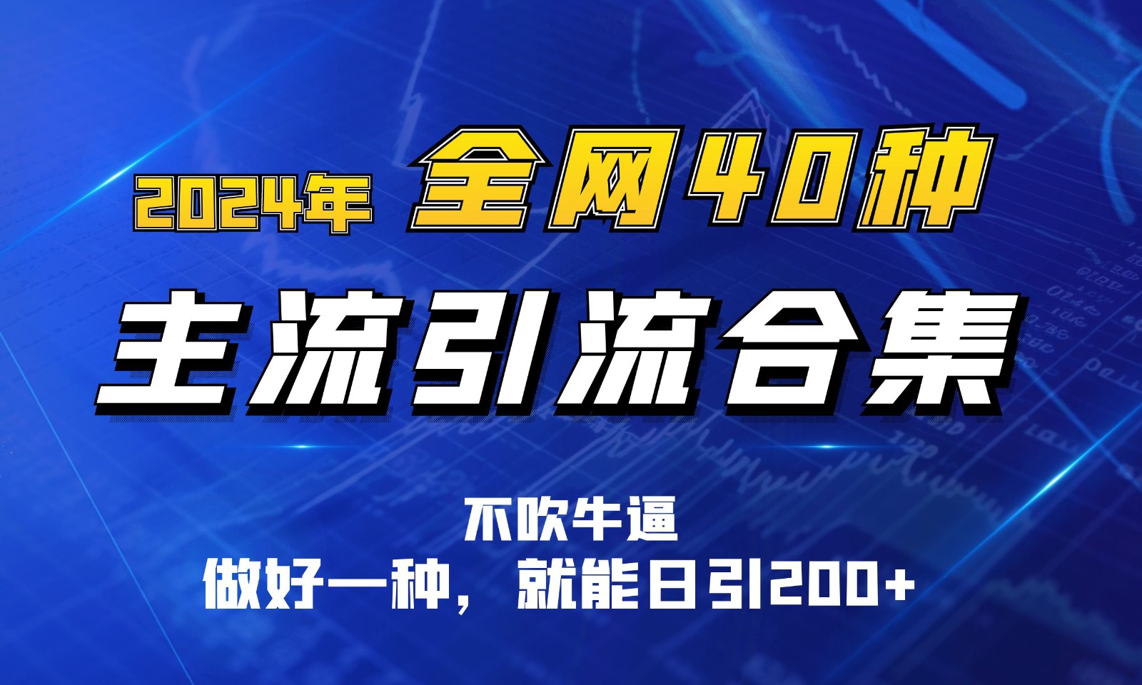 2024年全网40种暴力引流合计，做好一样就能日引100+-甄选网创