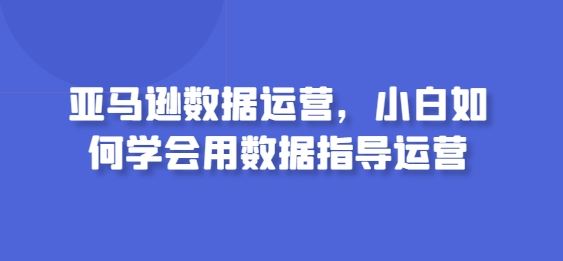 亚马逊数据运营，小白如何学会用数据指导运营-甄选网创