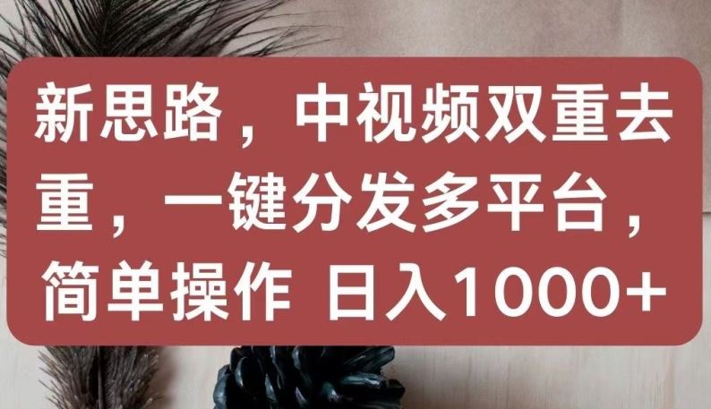 新思路，中视频双重去重，一键分发多平台，简单操作，日入1000+【揭秘】-甄选网创