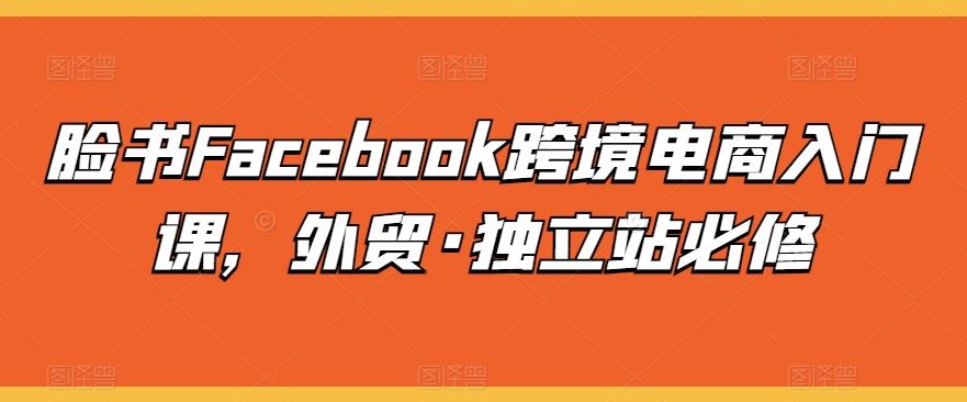 脸书Facebook跨境电商入门课，外贸·独立站必修-甄选网创