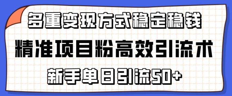 精准项目粉高效引流术，新手单日引流50+，多重变现方式稳定赚钱【揭秘】-甄选网创