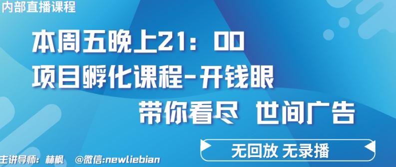 4.26日内部回放课程《项目孵化-开钱眼》赚钱的底层逻辑【揭秘】-甄选网创