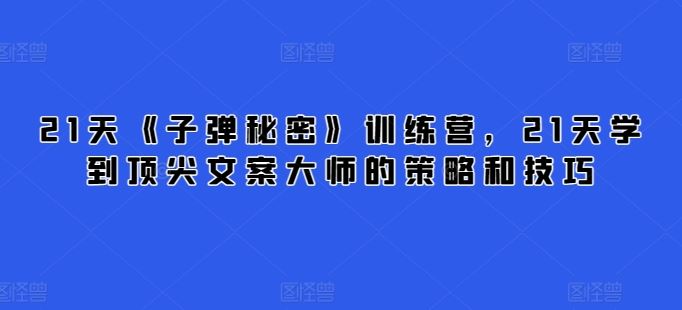 21天《子弹秘密》训练营，21天学到顶尖文案大师的策略和技巧-甄选网创