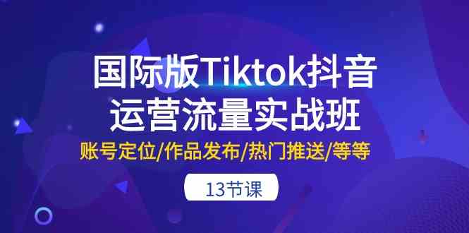 国际版Tiktok抖音运营流量实战班：账号定位/作品发布/热门推送/等等（13节）-甄选网创