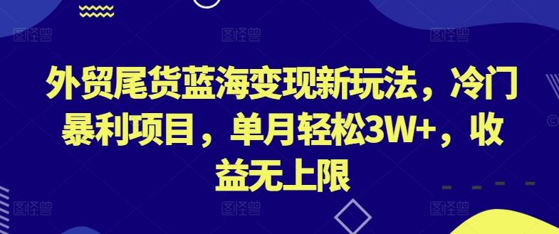 外贸尾货蓝海变现新玩法，冷门暴利项目，单月轻松3W+，收益无上限【揭秘】-甄选网创