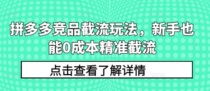 拼多多竞品截流玩法，新手也能0成本精准截流-甄选网创