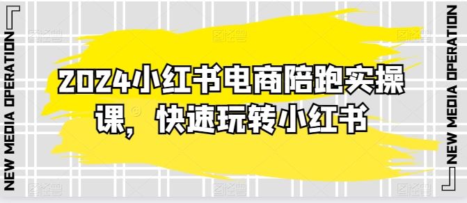 2024小红书电商陪跑实操课，快速玩转小红书，超过20节精细化课程-甄选网创