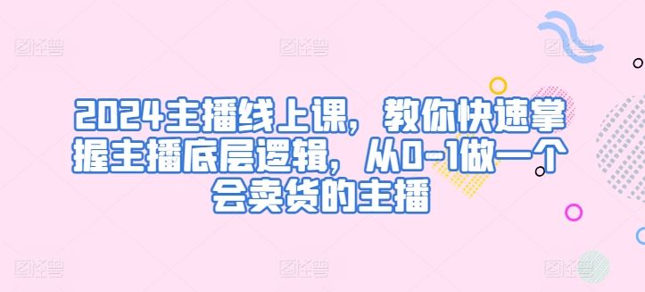 2024主播线上课，教你快速掌握主播底层逻辑，从0-1做一个会卖货的主播-甄选网创