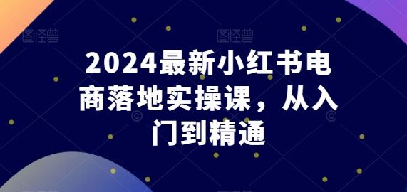 2024最新小红书电商落地实操课，从入门到精通-甄选网创